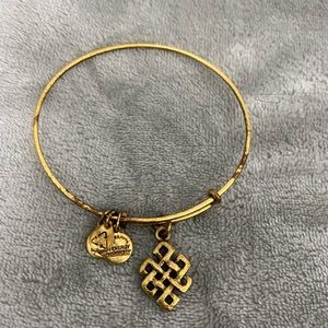 Alex and ani bangle